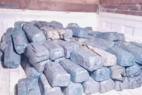 Muz kutularında gizlenmiş 128 kilogram kokain ele geçirildi