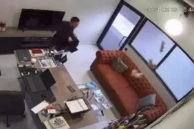 Ofis çalışanı tavandan düşen yavru kedileri ceketiyle yakalamaya çalıştı