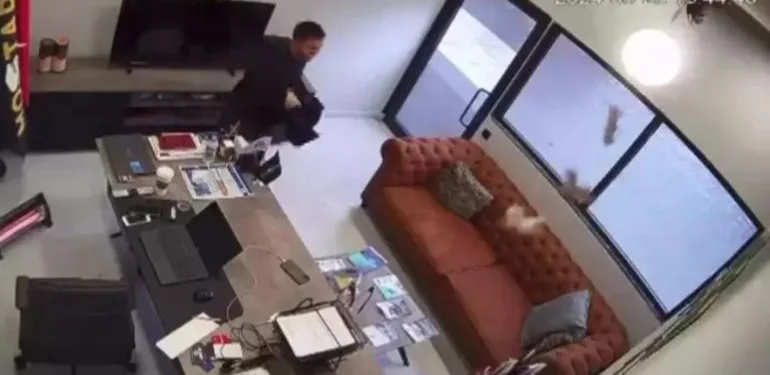 Ofis çalışanı tavandan düşen yavru kedileri ceketiyle yakalamaya çalıştı