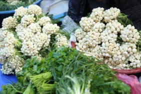 Ordu'nun tescilli meşhur lezzeti Sakarca mıhlaması