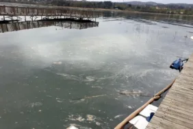 Sapanca Gölü'nde akaryakıt faciası NATO boru hattı patladı!