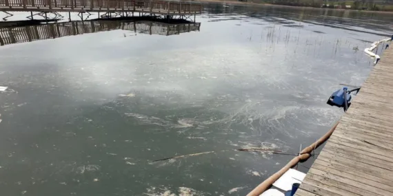 Sapanca Gölü’nde akaryakıt faciası: NATO boru hattı patladı!