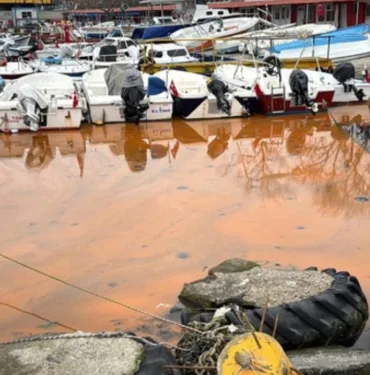 Tekirdağ sahilinde denizin rengi turuncu oldu
