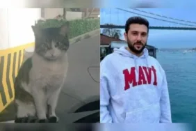 Türkiye bu vahşeti konuşmuştu İşkenceyle öldürülen kedi Eros'un davası bugün başlıyor