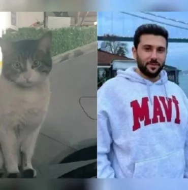Türkiye bu vahşeti konuşmuştu İşkenceyle öldürülen kedi Eros'un davası bugün başlıyor