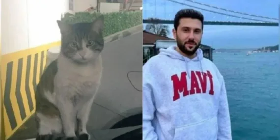 Türkiye bu vahşeti konuşmuştu: İşkenceyle öldürülen kedi Eros’un davası bugün başlıyor