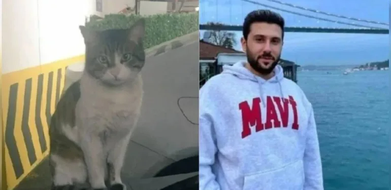 Türkiye bu vahşeti konuşmuştu İşkenceyle öldürülen kedi Eros'un davası bugün başlıyor