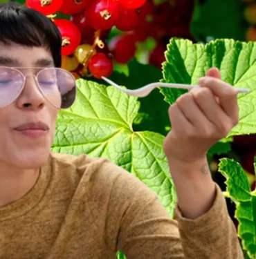 Uzmanların favorisi! Doğal C vitamini... Bağışıklığı güçlendirip kabızlığı bitiriyor