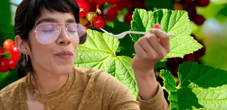 Uzmanların favorisi! Doğal C vitamini... Bağışıklığı güçlendirip kabızlığı bitiriyor