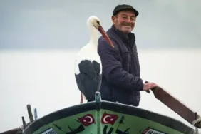 Yaren Leylek bu sene de Adem Amcaya kavuştu