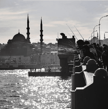 Yeni Proje