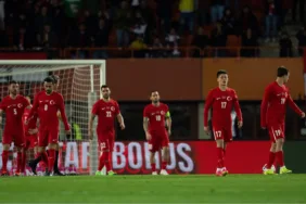 a milli futbol takımı
