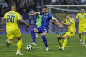 edin dzeko bosna hersek