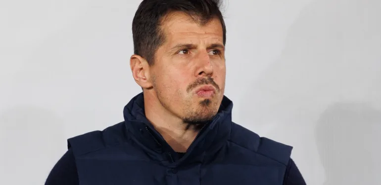 emre belözoğlu