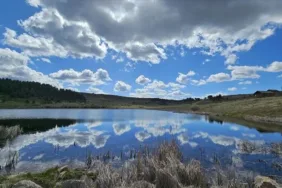Çankırı'daki Yapraklı Yaylası doğaseverleri bahar coşkusuyla ağırlıyor