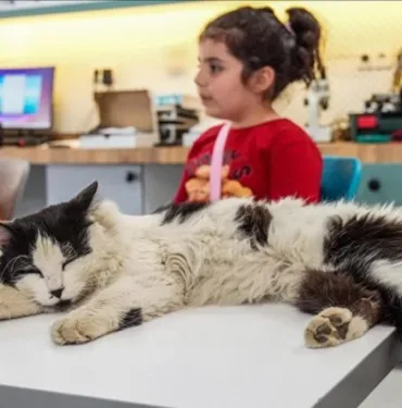 Çocuklar sokakta yaralı bulmuştu... Adı 'Einstein' oldu 'Bize hayvanları sevmeyi öğretti'