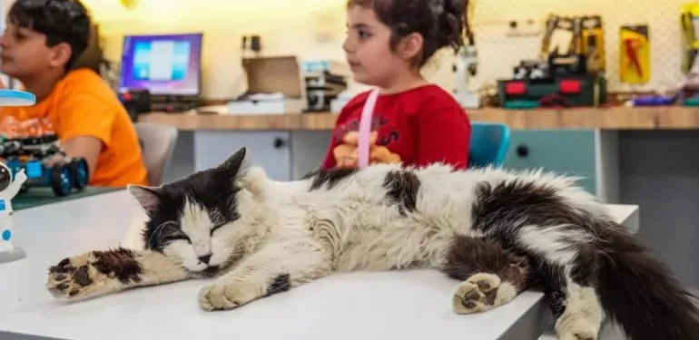 Çocuklar sokakta yaralı bulmuştu... Adı 'Einstein' oldu 'Bize hayvanları sevmeyi öğretti'