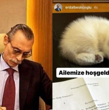 Erdal Beşikçioğlu deprem mağduru kedinin yavrusunu sahiplendi