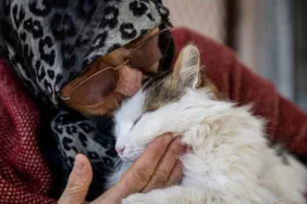 Evinin bir katını sokak kedilerine yuva yaptı 'Bırakıp gittiler, bu bir vicdan meselesi
