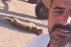 Gaziantep'te sokak köpeğini öldürüp at arabasında sürükleyen şahıs yakalandı!