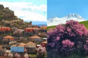 Hasan Dağı eteklerinde bahar güzelliği 'En renkli bahar mevsimini yaşıyoruz