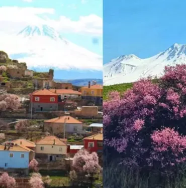 Hasan Dağı eteklerinde bahar güzelliği 'En renkli bahar mevsimini yaşıyoruz
