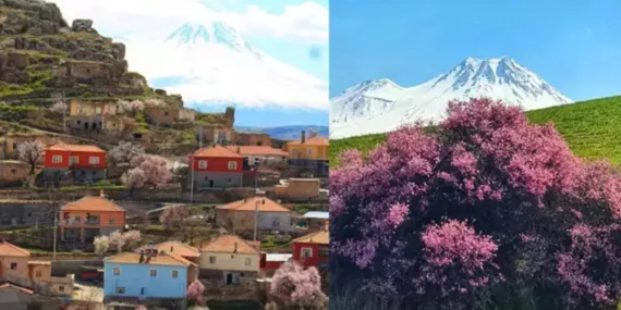 Hasan Dağı eteklerinde bahar güzelliği: ‘En renkli bahar mevsimini yaşıyoruz’