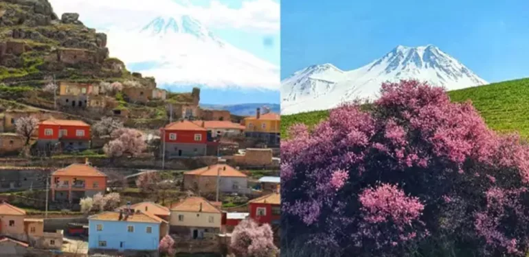 Hasan Dağı eteklerinde bahar güzelliği 'En renkli bahar mevsimini yaşıyoruz