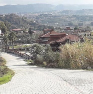 Hatay’da kuduz vakası 2 mahalle karantinada