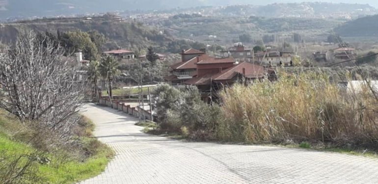 Hatay’da kuduz vakası 2 mahalle karantinada