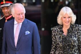 İngiltere Kralı 3. Charles kanser tedavisi nedeniyle ara verdiği halka açık programlara geri döndü