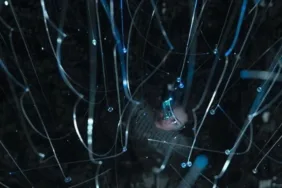 İstanbul Dijital Sanat Festivali Yapay zeka ile tasarlanan desenler AKM'de sergilenecek