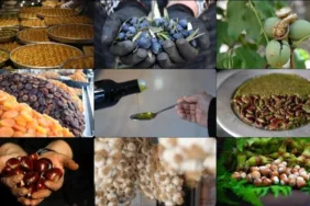 İşte coğrafi işaret tescilinde lider olan o il