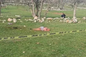 Köpeklerin saldırısına uğrayan 85 yaşındaki kadın hayatını kaybetti