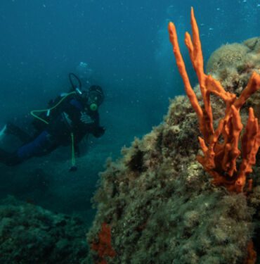 Kuşadası'nda dalış turizmi erken başladı