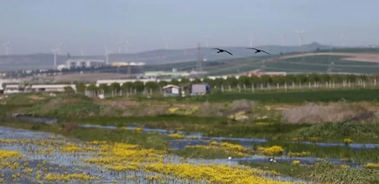 Kuşcenneti Milli Parkı baharda gelen kuşlarla renklendi