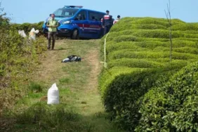 Rize'de korkunç olay Çay bahçesinde başı kopmuş ceset bulundu
