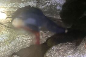 Siirt'te Alzheimer hastası Hüseyin Tilki kanlar içinde bulundu