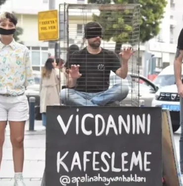 Sokak hayvanlarına şiddete karşı izmir'de 'Kafes' eylemi