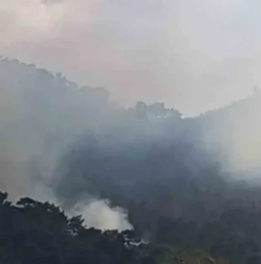 Son dakika... Antalya Kemer'de ormanlık alanda yangın