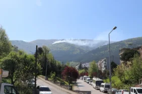 Uludağ'da orman yangını