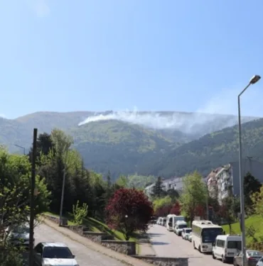 Uludağ'da orman yangını