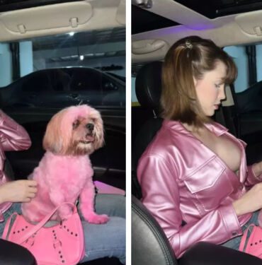 Ünlü fenomen kıyafetine uyması için köpeğini pembe renge boyadı! Sosyal medyada tartışma yarattı