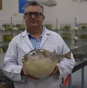 Uzmanı uyardı! 'Tek çare yerli türleri korumak