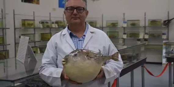 Uzmanı uyardı! ‘Tek çare yerli türleri korumak’