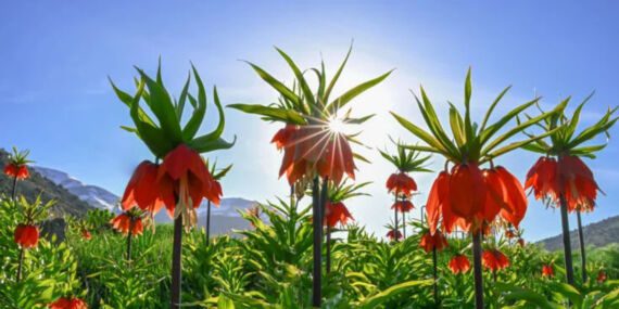 Toplumsal huzurun çaresi birbirimizle anlaşmaktan geçiyor!