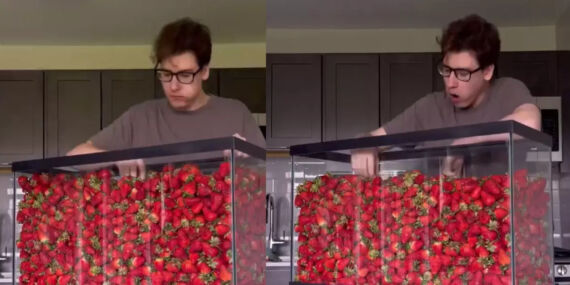 12 saat boyunca ara vermeden çilek yedi