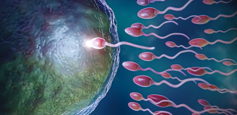Araştırma Sperm sayısını tehdit ediyor! İnsan ve köpek testislerinde tespit edildi