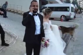 Artvin'de sıradışı düğün Gelin ve damat dolmuşla salona gitti