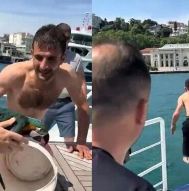 Beşiktaş'ta papağan Kurtarma Operasyonu Yolcu denize atladı!